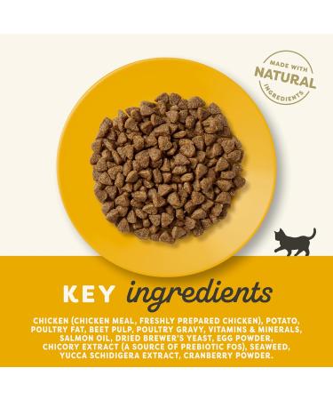 Applaws Complete Natural and Grain Free Dry Kitten Food Chicken 400g (Pack of 1) Kitten Chicken 400 g (Pack of 1) - Buy Online on GoSupps.com