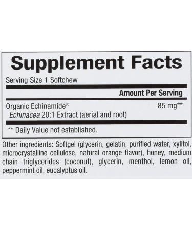 Natural Factors ECHINAMIDE Quick-Blast 30 Liquid-Gel Softchews - Immune Support - Buy Online on GoSupps.com