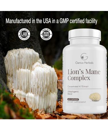 GENIUS HERBALS Lions Mane Complex - Concentrated 4:1 Extract for Brain Health Cognitive and Memory Support - 60 Capsules - Buy Online on GoSupps.com