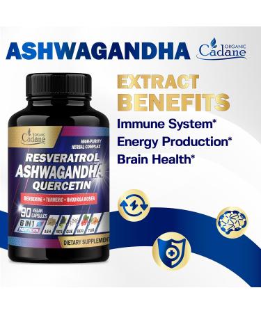 Organic Cadane Ashwagandha Supplements - Support Memory Immune Energy Production - 6 Premium Ingredients - Resveratrol Quercetin Berberine Turmeric Rhodiola Rosea - 90 Extract Capsules - Buy Online on GoSupps.com
