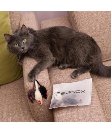 Elanox 10 Set Spielm us Cat Toys - Plastic-Free Bell Included Assorted Mix for All Cat Breeds - Buy Online on GoSupps.com