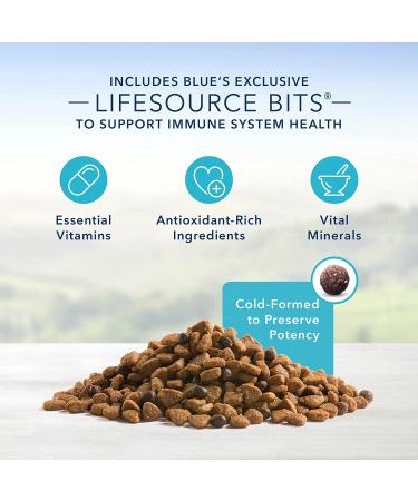 Blue Buffalo Life Protection Formula Small Breed Dry Dog Food - Natural & Nutritious Adult Formula - Buy Online on GoSupps.com