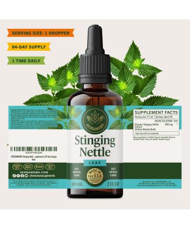 HERBAMAMA Stinging Nettle Tincture - Vegan Urinary Tract Support with Stinging Nettle Leaf Extract Drops - Non-GMO Alcohol & Sugar-Free Urtica Dioica Kidney Supplement 84-Day Supply 2 Fl Oz (Pack of 1) - Buy Online on GoSupps.com