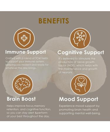 Redmint Lion's Mane Mushroom Extract with Ginkgo Leaf & Ginseng and More - Brain Boost & Clarity Herbal Tincture - Rooted in Ancient TCM Wisdom - Organic Immune Support Mushroom Supplement - 1 fl oz Loins Mane 1 Fl Oz (Pack  - Buy Online on GoSupps.com