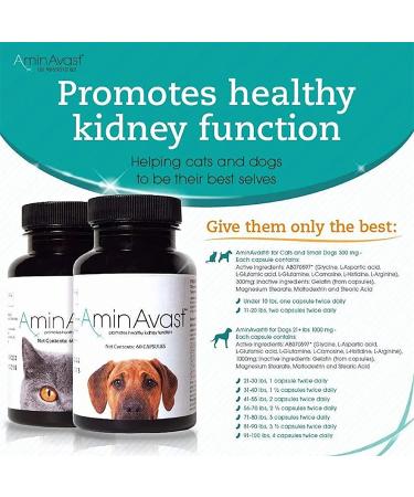 AminAvast Kidney Support Supplement for Cats and Dogs 300mg - Promotes Natural Kidney Function - 60 Sprinkle Capsules - Buy Online on GoSupps.com