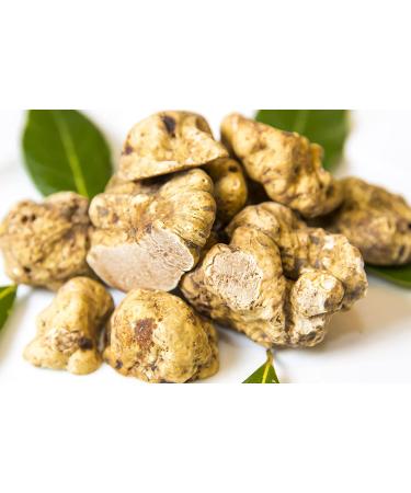 Sanniti White Truffle Extra Virgin Olive Oil 8.4 Fl Oz - Premium Truffle Infused Oil - Buy Online on GoSupps.com
