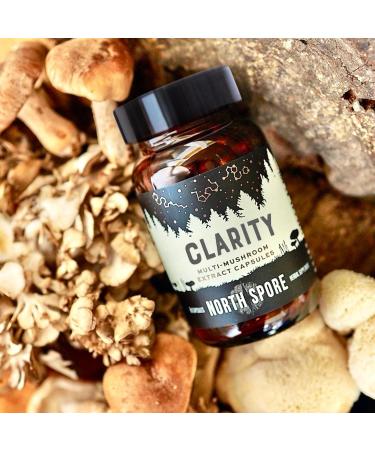 North Spore Organic Clarity High Potency Mushroom Capsules | Lions Mane Reishi Cordyceps Supplement | Boost Focus Memory Vitality Cognitive Function | Pure Organic Extract Blend - 60ct - Buy Online on GoSupps.com