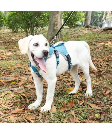 Belpro Multi-Purpose Dog Harness - No Pull Adjustable Reflective Vest for Large Dogs (Blue L) - Durable Handle & Dog Dishes Included - Buy Online on GoSupps.com