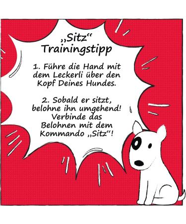 Snackomio Premium Dog Snack - Grain-Free Chicken Breast Fillet Strips (500g) - International Shipping Available - Buy Online on GoSupps.com