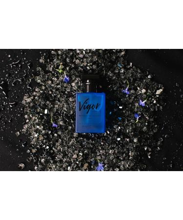 RawChemistry Vigor Men's Pheromone Cologne 1oz - Attracting Scent - Buy Online on GoSupps.com