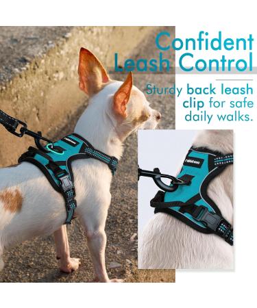 Rabbitgoo No Pull Dog Harness for Small Dogs - Adjustable Breathable Safe Blue-Green XS (1 Pack) - Perfect for Training & Cuddling - Buy Online on GoSupps.com