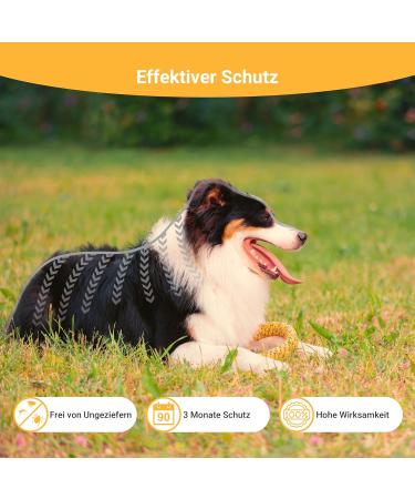 Animal Vita Spot On Tick Protection for Dogs | Reliable Ticking Agents for Large Dogs (30-50kg) - Effective & Safe Solutions - Buy Online on GoSupps.com