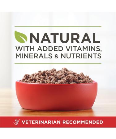 Purina ONE Classic Ground True Instinct Wet Dog Food Chicken & Duck - 368 g Can (12 Pack) - Buy Online on GoSupps.com