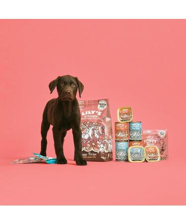 Lily's Kitchen Natural Wet Puppy Food with Duck & Turkey Grain Free Recipe (6 x 400g Can) - Buy Online on GoSupps.com