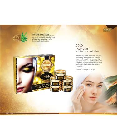 Fresh Fruit Massage Cream with Apple Papaya & Kokum Butter - All Natural - Herbal Cream - Vaadi Herbals (Pack of 1 X 500 Gm) (17.64 Oz) 1 Count (Pack of 1) - Buy Online on GoSupps.com