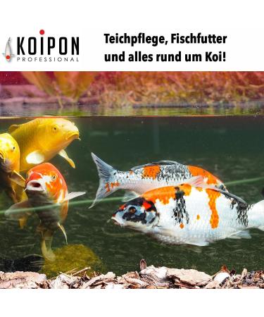 Koipon Pond Clear 1L - Clear Pond Water Supplier | Fight Algae & Cloudiness | Reduces Phosphate & Heavy Metals - Buy Online on GoSupps.com