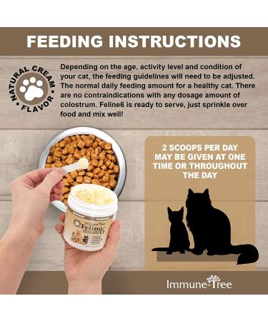 Colostrum Probiotic Powder for Cats | Allergy & Immune Support | Skin & Coat Relief | Made in USA | 1.55oz - Buy Online on GoSupps.com