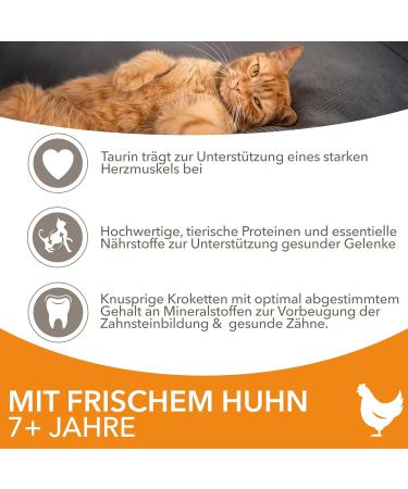 IAMS Senior Dry Cat Food with Chicken - 1.5 kg | Premium Dry Food for Cats 7+ Years - Buy Online on GoSupps.com