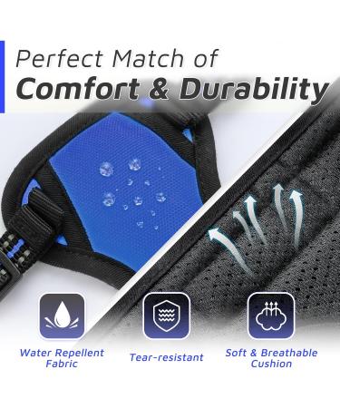 Buy Eagloo Anti-Train Dog Harness for Small Dogs - Adjustable Durable Reflective Strips for Walking & Jogging - XS Blue (1 Pack) - Buy Online on GoSupps.com