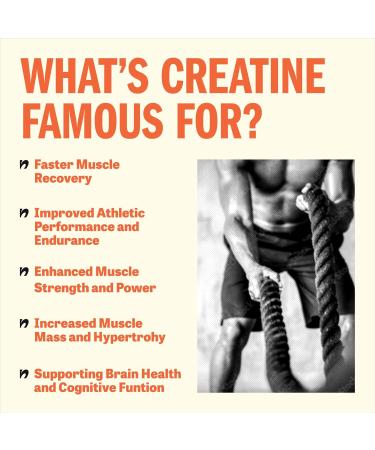 Creatine Monohydrate Gummies - Vegan Gluten-Free Easy to Digest 1.5g Per Gummy 45ct - Orange Flavor for Men & Women - Buy Online on GoSupps.com