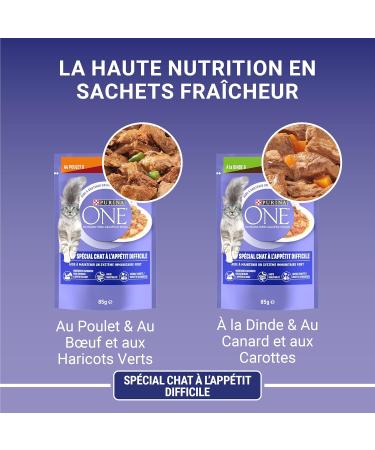 PURINA ONE Cat with Hard Appetite Tapered in Sauce Assorted Flavors Chicken & Beef & Turkey & Duck | Adult Cat Meal Bags | 4 - Buy Online on GoSupps.com