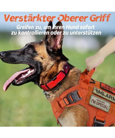 Rabbitgoo No Pull Dog Harness for Medium & Large Dogs | Tactical Military Vest with Metal Buckle & Adjustable Padding - Breathable Safety Harness in Orange (1 Pack) - Buy Online on GoSupps.com