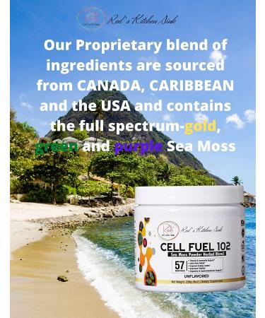 Organic Sea Moss, Bladderwrack & Burdock Root Herbal Blend - Dr. Sebi Inspired | 100% Natural Thyroid & Immunity Support - 8oz - Buy Online on GoSupps.com