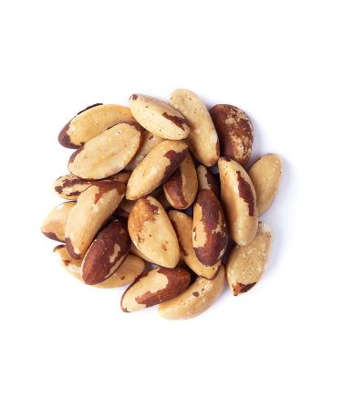 1lb Unsalted Dry Roasted Brazil Nuts - Oven Roasted, Shelled, Vegan & Kosher - Bulk Nut Snack Rich in Protein & Essential Fatty Acids - Buy Online on GoSupps.com