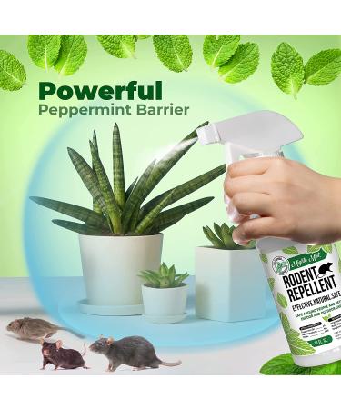 Mighty Mint 16oz Peppermint Oil Rodent Repellent Spray - Natural Pest Control Solution - Buy Online on GoSupps.com