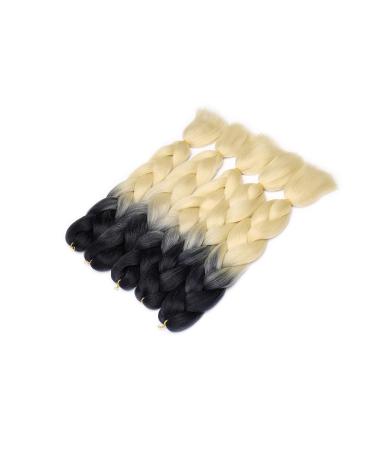 Buy 5 Packs Kanekalon Braids Extensions - Colorful Crochet Hair - 24 Synthetic Hair | Black to Light Blonde | 500g - Buy Online on GoSupps.com