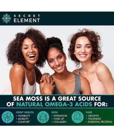 Sea Moss Bundle Wildcrafted Irish Sea Moss Capsules with Burdock Root Bladderwrack Muira Puama + Seamoss Black Seed Oil Ashwagandha & Ginger 360 Vegan Capsules - Buy Online on GoSupps.com