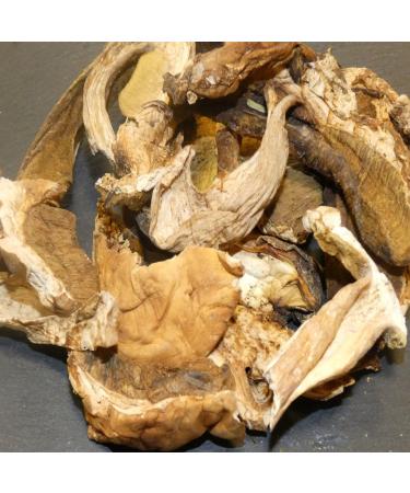  Bontout Set of 6 Porcini mushrooms - 100 g jar - Buy Online on GoSupps.com