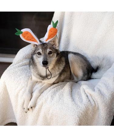 Midlee Carrot Bunny Ears Easter Dog Headband Costume (Small) - Buy Online on GoSupps.com