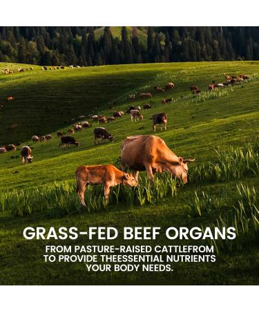 MORANDEE Forgebody Beef Organ Complex Supplement for Men 120 Capsules Grass Fed Beef Liver Capsules Immune Support Gluten Free Non-GMO (1) - Buy Online on GoSupps.com