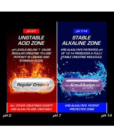 All American EFX Kre-Alkalyn for Muscle Growth & Performance - 192 Total (20 More Free) - Buy Online on GoSupps.com