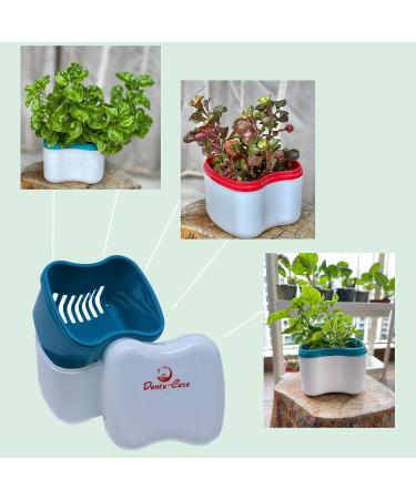 Polident 3-Minute Denture Cleaner 84 Tablets Bundle with Dentu-Care Case and Brush | For Easy Maintenance of Full/Partial Dentures & Mouthguards | Soothe Gums, No More Discomfort - Buy Online on GoSupps.com