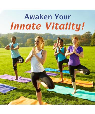 Innate Vitality 10-in-1 Magnesium Complex 960mg 420mg Elemental Mag per Serving with Magnesium Glycinate Citrate Malate and More Sleep Digestion Energy Support 90 Vegan Caps - Buy Online on GoSupps.com