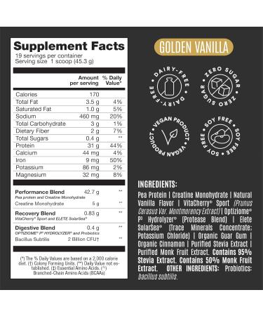 BIRDMAN Falcon Performance Vegan Protein Powder 31g Protein 5g Creatine 5g BCAA Probiotics Electrolytes Pre Workout Low Carb Sugar Free & Dairy Free Plant Based Vanilla Protein -19 Servings Golden Vanilla 1.9 Pound  - Buy Online on GoSupps.com