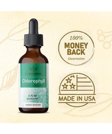 HERBAMAMA Chlorophyll Liquid Drops - Energy Booster for Digestion & Immune Support - Vegan Sodium Copper Chlorophyllin Extract - 2 fl. Oz - Buy Online on GoSupps.com