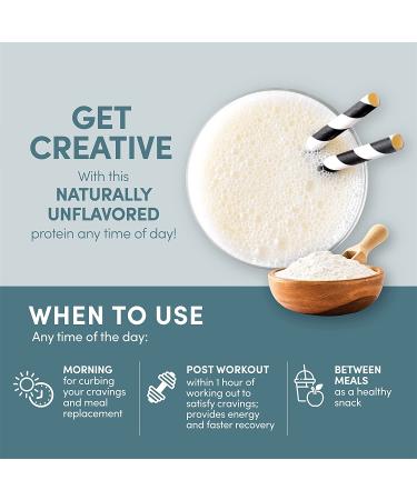 Designer Whey Natural 100% Whey Protein Powder - Gluten-Free, Non-GMO, Probiotics & Key B-Vitamins - 12 oz Unflavored - Buy Online on GoSupps.com