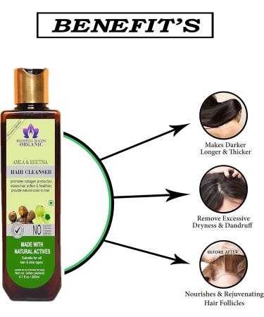 Blessfull Healing Organic Amla & Reetha Hair Cleanser | Shampoo 200 ML (Packing May Vary) - Buy Online on GoSupps.com