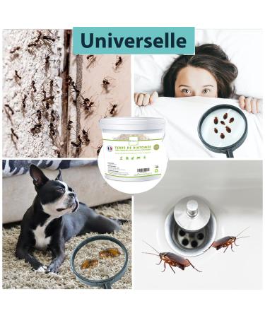 Diatomaceous Earth Bed Bug Usable in Organic Farming 100% Natural and Made in France Cat Wormer Dog Wormer Anti Bed Bugs (1.5kg) - Buy Online on GoSupps.com