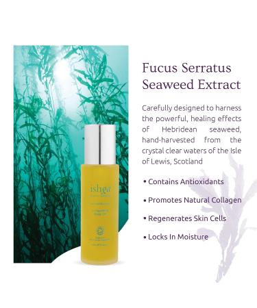 Ishga Invigorating Body Oil - Natural & Organic Skincare with Scottish Seaweed Jojoba & Essential Oils | Vegan & Cruelty-Free | 3.38 fl oz (100ml - Buy Online on GoSupps.com