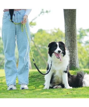 Aystkniet 30m Bungee Tow Leash for Dogs - Shock-Absorbing Padded Handle Reflective Lockable Hook for Medium & Large Dogs | Green - Buy Online on GoSupps.com