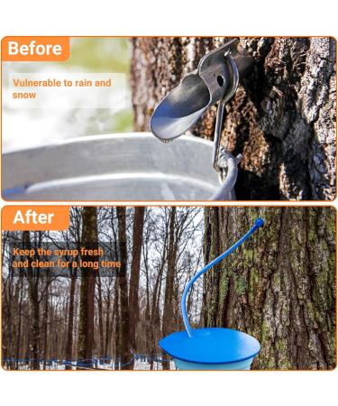 HolyMaji 100FT Maple Syrup Tubing Drop Lines Extractors Food Grade Maple Syrup Tapping Vacuum Tube Tree Sap Collection Hose Supplies for Organic Maple Syrup 100' - Buy Online on GoSupps.com