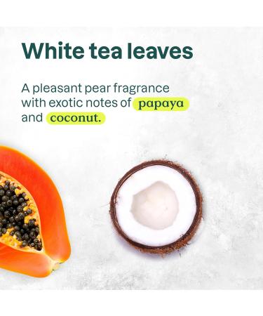 ATTITUDE Plastic-Free Deodorant EWG Verified Aluminum Free Vegan Naturally Sourced Body Deodorants for Women & Men Dermatologically Tested White Tea Leaves 3 Ounces (Pack of 6) White tea leaves 3 Ounce (Pack of 6) - Buy Online on GoSupps.com