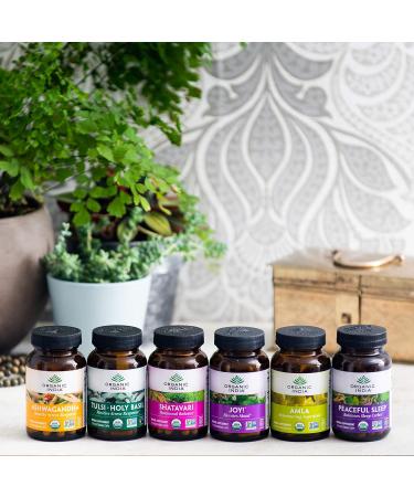 ORGANIC INDIA Amalaki Herbal Vitamin Supplement - Immune Support, Vitamin C, Vegan, Gluten-Free, Kosher, Ayurvedic, Antioxidant - 90 Capsules, USDA Certified Organic, Non-GMO - Buy Online on GoSupps.com