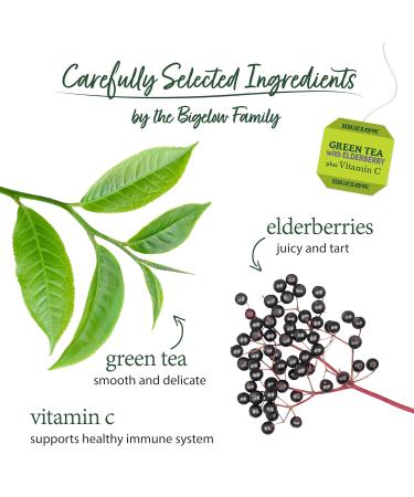 Bigelow Tea Green Tea Elderberry plus Vitamin C Caffeinated 18 Total Tea Bags (Pack of 1) - Buy Online on GoSupps.com