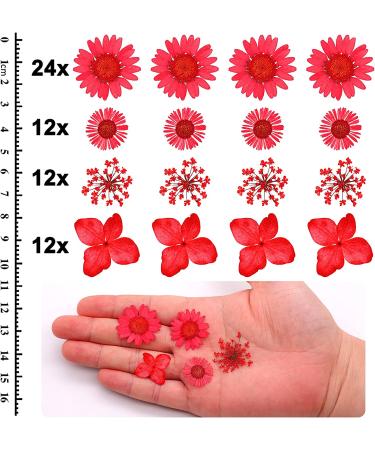60PCS Real Pressed Dried Flowers for Resin Crafts - Natural Dried Flowers for Candle Making, Jewelry, Phone Cases & Framed Decor (Red) - Buy Online on GoSupps.com