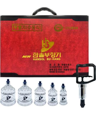 Hansol Professional Cupping Therapy Set: 19 Cups + Lancing Device & Lancets - Made in Korea (English Manual) + Alcohol Swabs - 100pcs - Buy Online on GoSupps.com